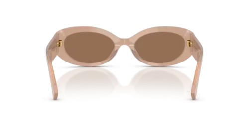 DOLCE & GABBANA DG4537 - 304273 - 53 Lunettes de soleil Marron opalin Ovale