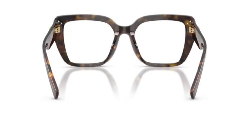 DOLCE & GABBANA DG3441 - 502 - 53 Cadres optiques Havane Angulaire