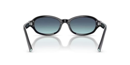 TIFFANY & CO. TF4270U - 80019S - 52 Lunettes de soleil Noir Ovale