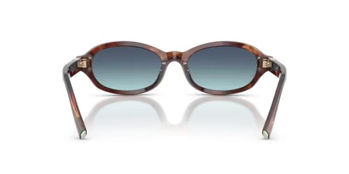 TIFFANY & CO. TF4270U - 84219S - 52 Lunettes de soleil Ovale