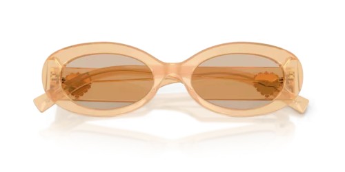DOLCE & GABBANA DG4537 - 308993 - 53 Lunettes de soleil Opale beige Ovale