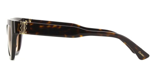Cartier CT0437S - 002 - 53 Lunettes de soleil Marron, À motifs Œil de chat