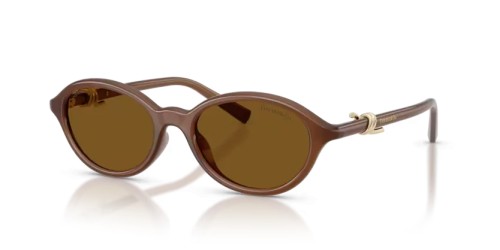 TIFFANY & CO. - Lunettes de soleil - TF4266U - 847183 - 51 - AVEC DES VERRES POLARISÉS