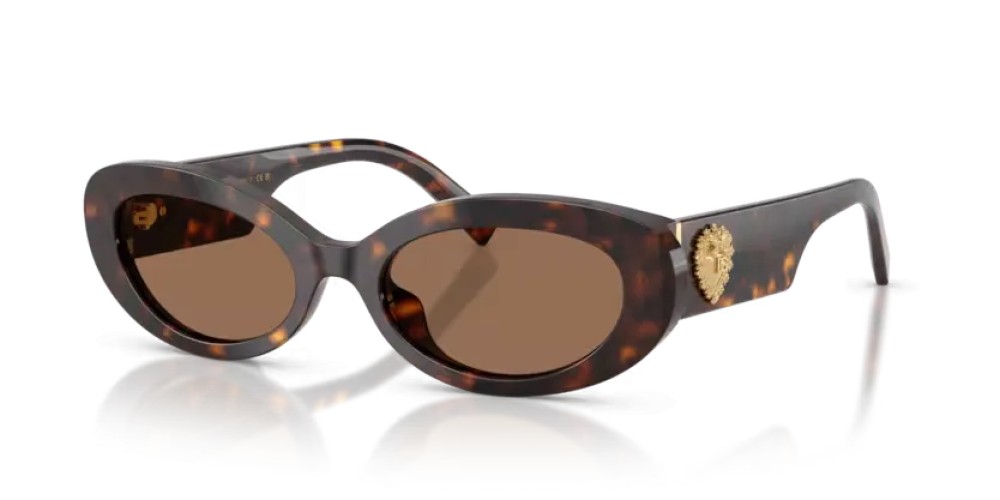 DOLCE & GABBANA DG4537 - 502/73 - 53 Lunettes de soleil Havane Ovale