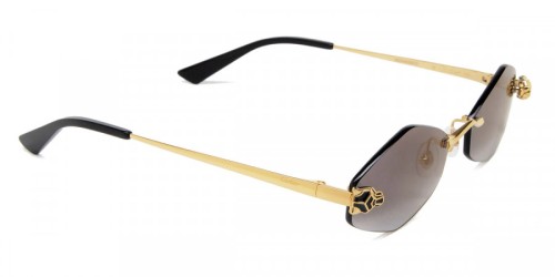 Cartier CT0433S - 001 Lunettes de soleil Special