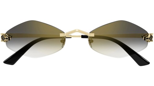 Cartier CT0433S - 001 Lunettes de soleil Special