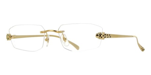 Cartier CT0494O - 001 - 55 Cadres optiques Square