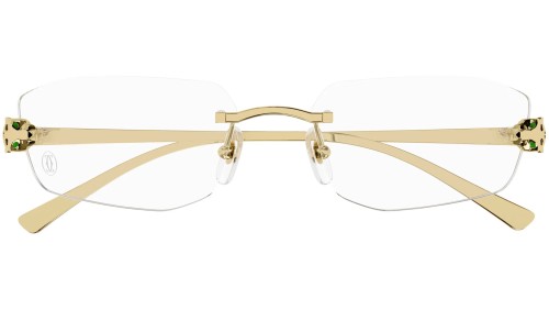 Cartier CT0494O - 001 - 55 Cadres optiques Square