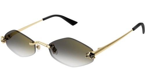 Cartier CT0433S - 001 Lunettes de soleil Special
