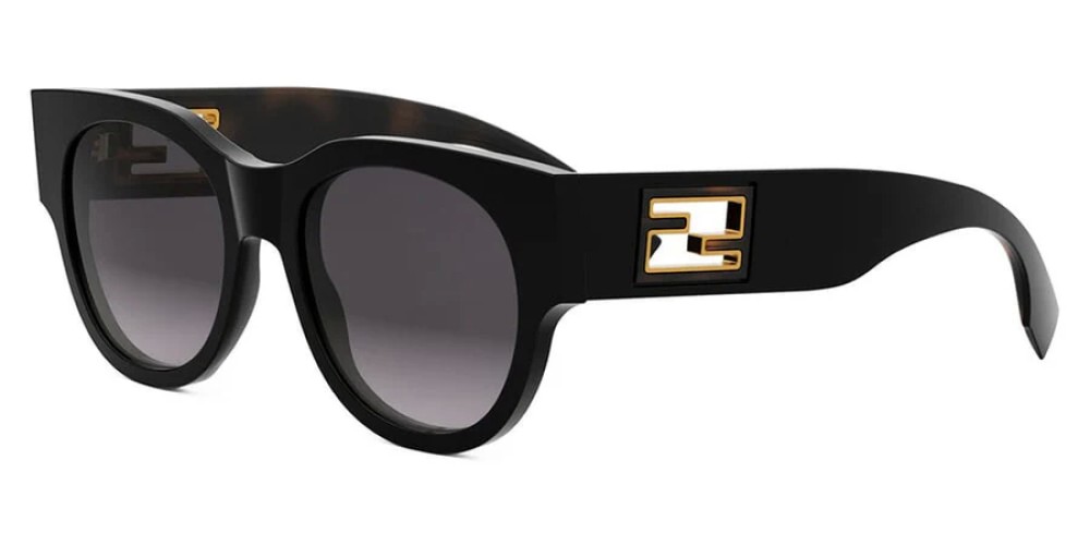 Fendi FE40147I - 01B - 53 Lunettes de soleil Black Round