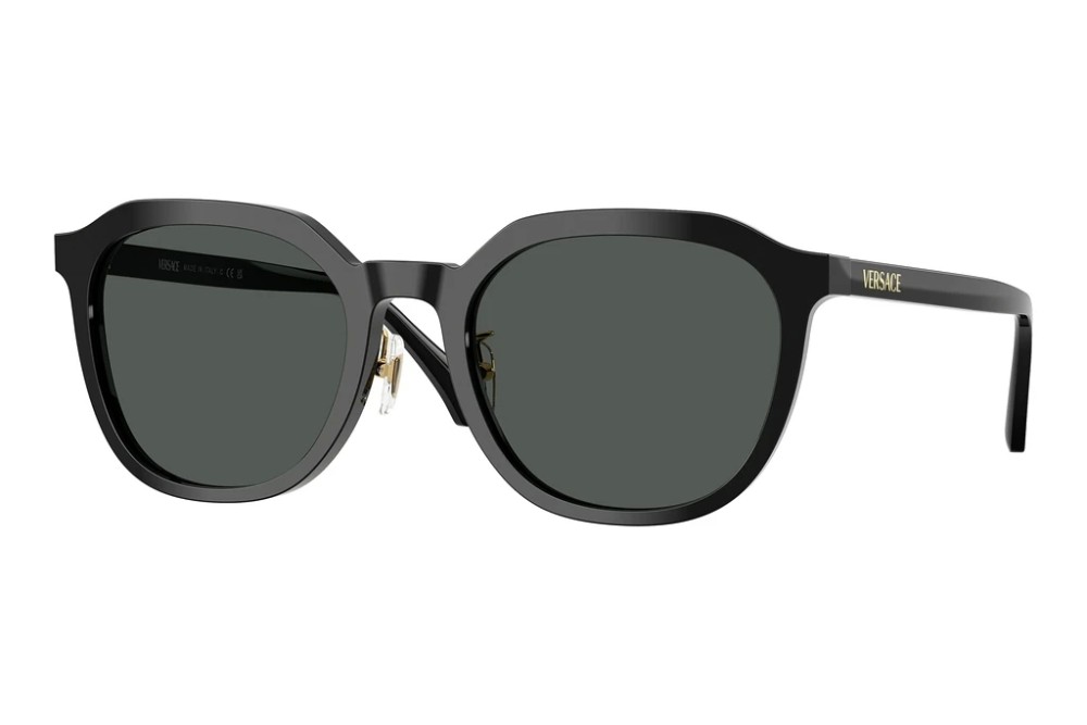 VERSACE VE4493-D - GB1/87 - 55 Lunettes de soleil Noir Coussin arrondi