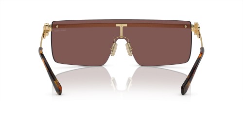 MIU MIU MU 50ZS - ZVN70D Lunettes de soleil Or, Havane Bouclier