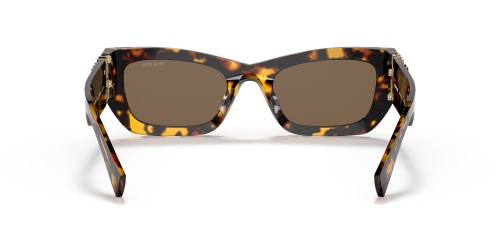 MIU MIU MU 09WS - VAU06B - 53 Lunettes de soleil Havane Angulaire