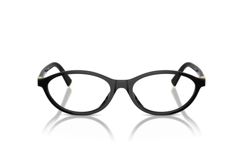 MIU MIU MU 09XV - ​16K1O1 - ​53 Cadres optiques Noir Ovale